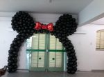 arco minnie