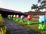 flores