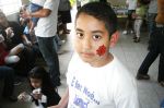 teia de aranha
