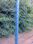 Construtenis Alambrado