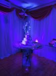 15 Anos Vicky