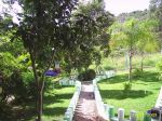 Jardim