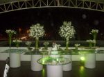 Decorao verde e branco( rosas e copo de leite)