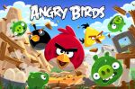 Angry bird