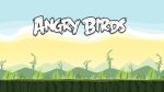 angry bird painel festa infantil banner (2)