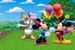 disney painel festa infantil banner dkorinfest (60)