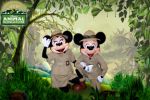 disney painel festa infantil banner dkorinfest (38)