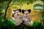 disney painel festa infantil banner dkorinfest (37)