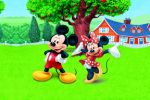 disney painel festa infantil banner dkorinfest (36)