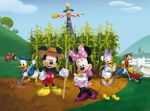 disney painel festa infantil banner dkorinfest (6)