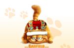 Garfield painel festa infantil banner dkorinfest (9)