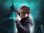 Harry Potter  painel festa infantil banner dkorinfest (9)