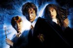 Harry Potter  painel festa infantil banner dkorinfest (3)