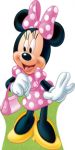 Minnie Mouse Rosa