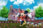 Minnie Mouse Vermelha painel festa infantil banner dkorinfest(10)