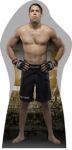 ufc display cenario de chao totem mdf dkorinfest (6)