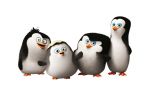 os pinguins de madagascar painel festa infantil banner dkorinfest (9)
