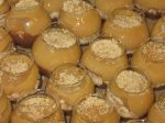 DOCES (Finos/Cl�ssicos/Tradicionais)