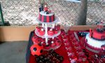 15 fatias aro 15