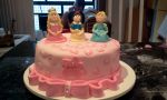 Princesas 30 fatias aro 25