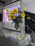 Casamento - Chácara Fagundes em Mauá SP
Kit Básico ( Dj+Som+Iluminaçăo Básica )
Em Parceria com Buffet Amor Eterno - Mauá SP
Tels. 3421-3331 / 4790-2084 / 2375-8985
dj em mauá: www.edytronik.com