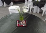 Casamento - Chácara Fagundes em Mauá SP
Kit Básico ( Dj+Som+Iluminaçăo Básica )
Em Parceria com Buffet Amor Eterno - Mauá SP
Tels. 3421-3331 / 4790-2084 / 2375-8985
dj em mauá: www.edytronik.com