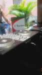 Confraternização Empresa Boa Hora - Mauá SP
Chácara Manacá da Serra - Ribeirão Pires SP
Kit 1 - Dj e Som.