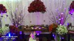 Casamento - Associao Nipo Brasileira - Mau SP - Com Buffet e Decorao Fascinao - Kit 2 ( Dj, Som, Iluminao Basica e Projeo )