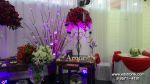 Casamento - Associao Nipo Brasileira - Mau SP - Com Buffet e Decorao Fascinao - Kit 2 ( Dj, Som, Iluminao Basica e Projeo )