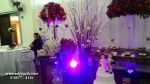 Casamento - Associao Nipo Brasileira - Mau SP - Com Buffet e Decorao Fascinao - Kit 2 ( Dj, Som, Iluminao Basica e Projeo )