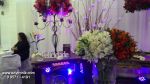 Casamento - Associao Nipo Brasileira - Mau SP - Com Buffet e Decorao Fascinao - Kit 2 ( Dj, Som, Iluminao Basica e Projeo )