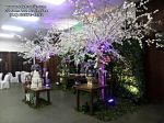 Casamento Clube da Cofap - Natalino e Debora - Mauá SP
Dj Edytronik - WhatsApp 11 - 99571-4191