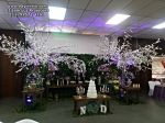 Casamento Clube da Cofap - Natalino e Debora - Mauá SP
Dj Edytronik - WhatsApp 11 - 99571-4191