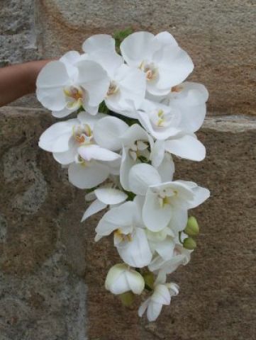 buques de noivas - Encanto Flor e Arte - Floricultura