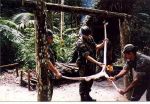 CURSO DE SOBREVIVNCIA NA SELVA