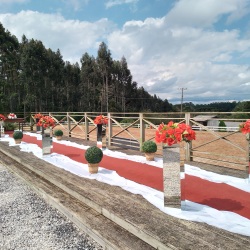Decoração do corredor para cerimônia de casamento em área externa