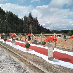 Decorao do corredor para cerimnia de casamento em rea externa