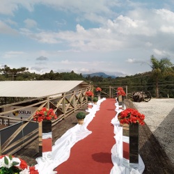 Decoração do corredor para cerimônia de casamento em área externa