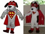 Mascote Montanna Veculos Ltda - Catalo -GO