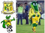 Mascote Jacar - Brasiliense Futebol Clube - Braslia DF