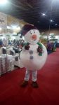 Mascote - Boneco de Neve, Expotche- DF