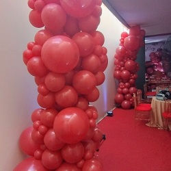 Adulto vermelho cereja