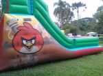 Tobog Angry Birds