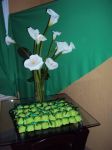 BEM VIVIDOS (p�o de mel)