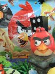 Angry Bird