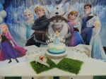 Decorao Provenal do Frozen