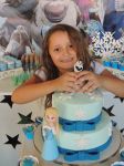 Decorao Provenal do Frozen