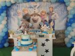 Decorao Provenal do Frozen