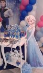 Decorao Provenal do Frozen