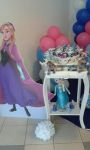 Decorao Provenal do Frozen